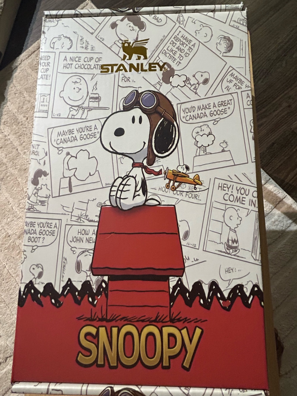 Peanuts Snoopy Red Doghouse Party Placemats - Official Character Design